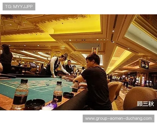 新濠国际赌场：探索澳门最豪华的娱乐体验与顶级博彩服务