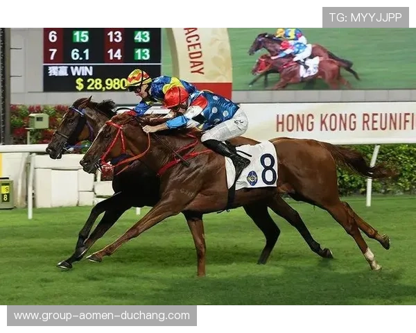 hkjc中文站：香港赛马会中文官方网站提供的赛马赛事详细报道与直播