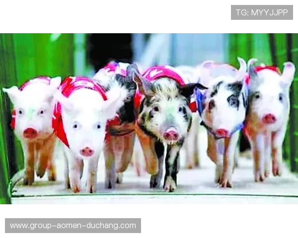 六合彩旗舰厅注册平台优惠福利多,注册即送丰富彩金奖励,每日签到领取丰厚奖品,精彩不停歇 六合彩旗舰厅注册平台优惠福利多,注册即送丰富彩金奖励,每日签到领取丰厚奖品,精彩不停歇