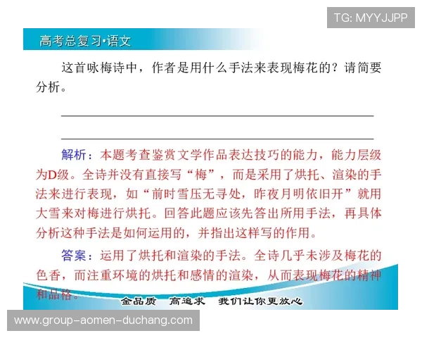 提升叶汉三株路操作技能的技巧指南，让你从入门到精通