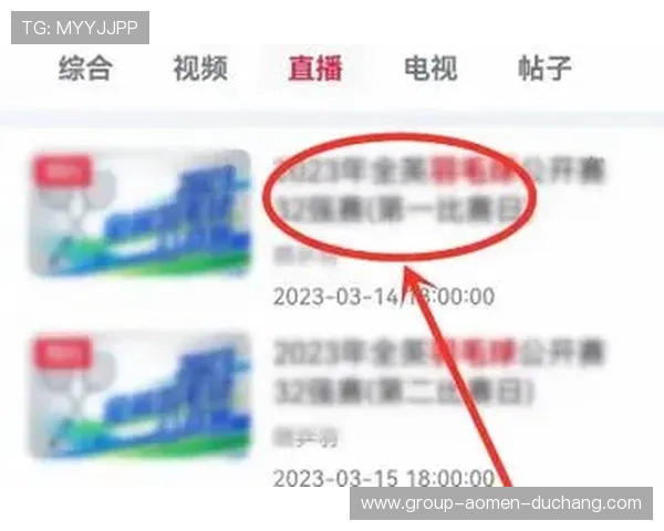 如何获取巴拉圭对土耳其比赛的完整回放视频，详细步骤和平台推荐